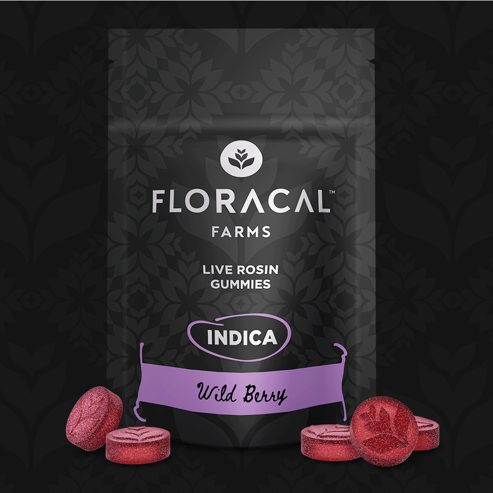 GUMMY | WILD BERRY | 100MG | 10PK