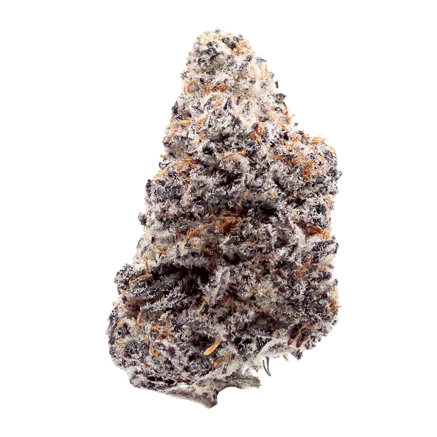 PMT | BLUE RUNTZ | BULK FLOWER - 1 G