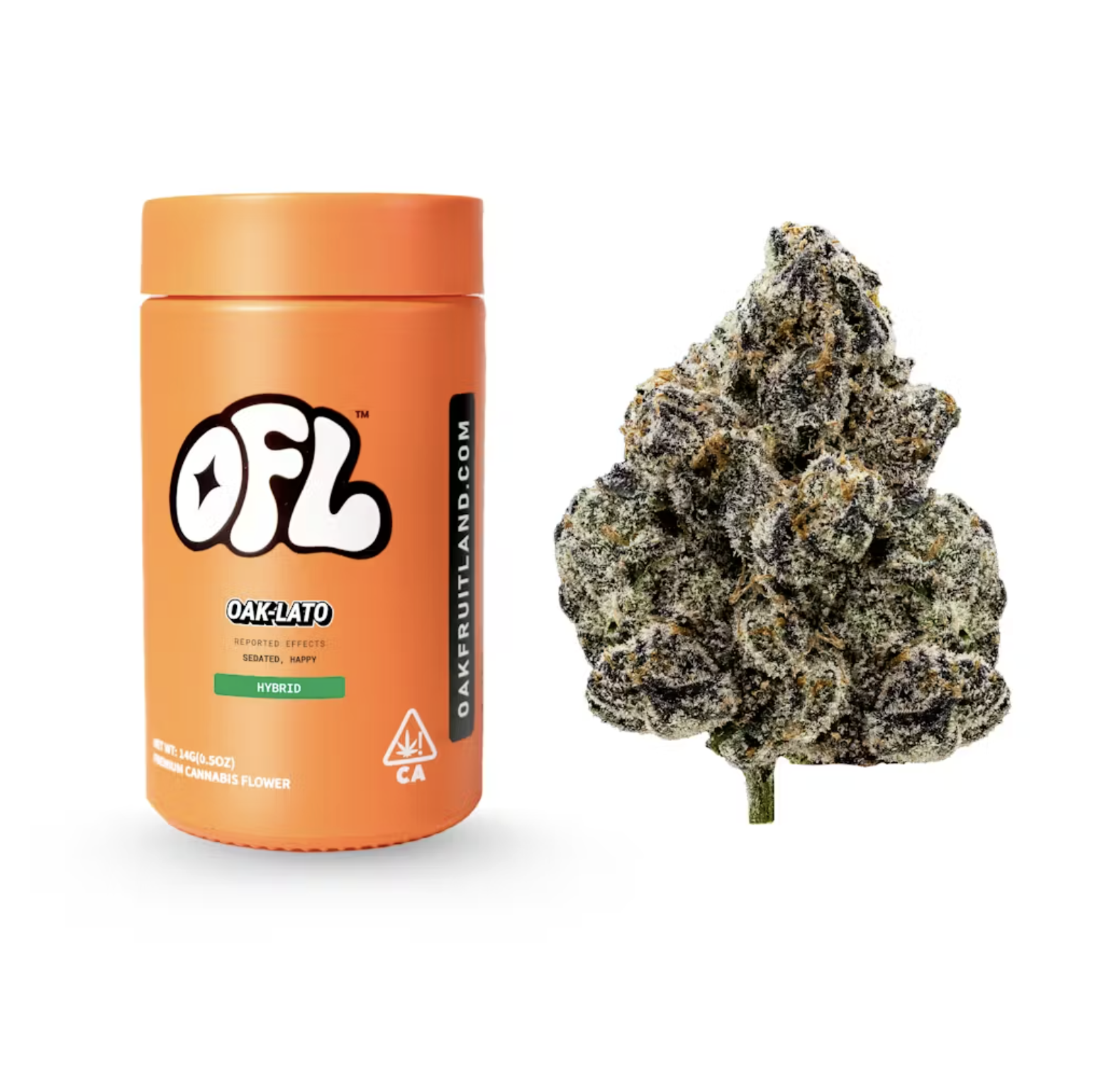 OAK-LATO JAR 14G | Velvet Cannabis