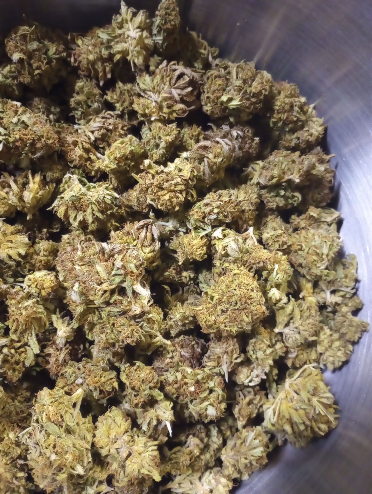 ORANGE CREAM POP (SUN GROWN)