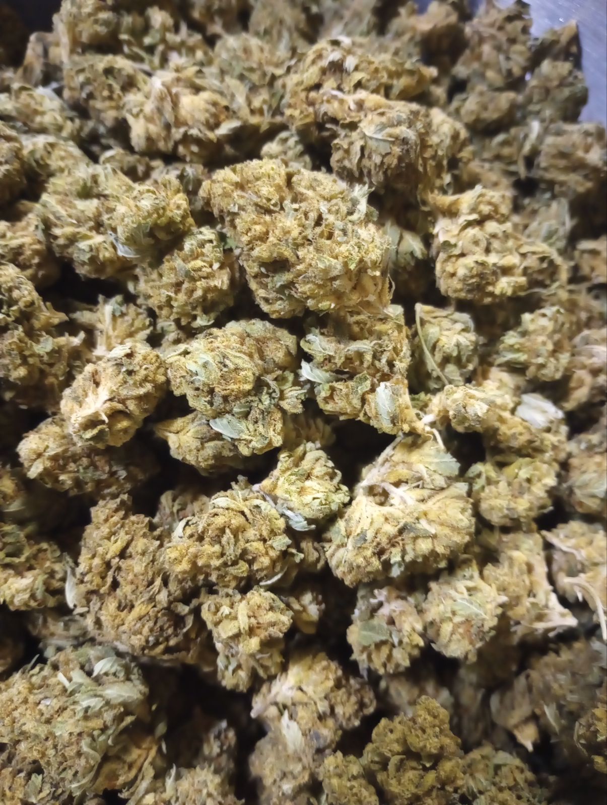 KHALIFA KUSH (SUN GROWN)