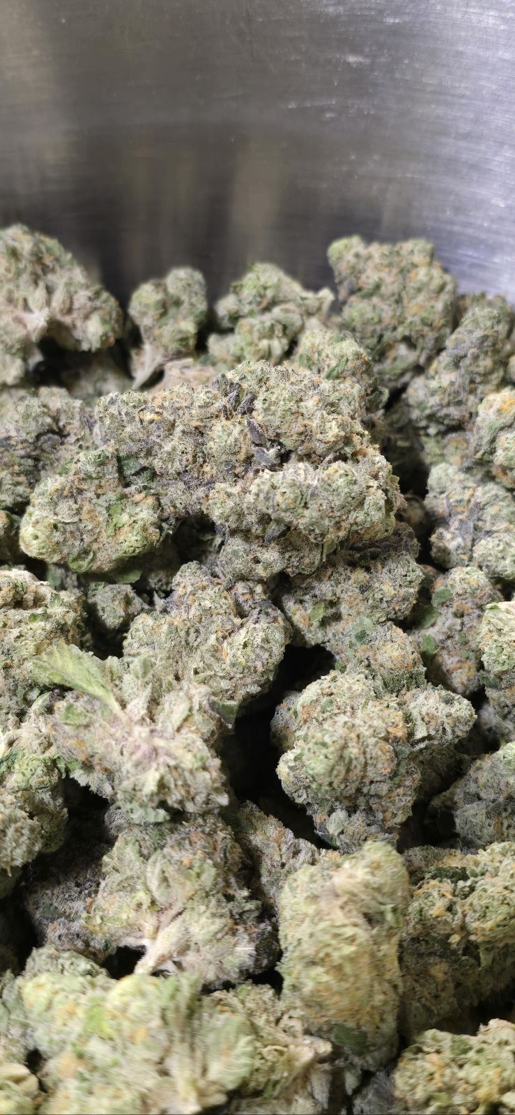 APPLE CHEESECAKE (PLATINUM TIER)