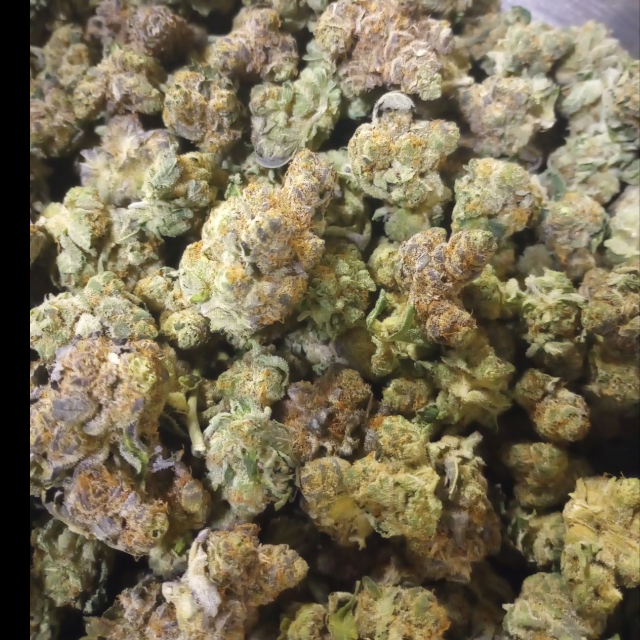BLUE MOSA (SILVER TIER)