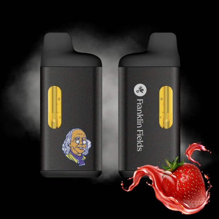 STRAWBERRY SHORTCAKE BIG PENJAMIN