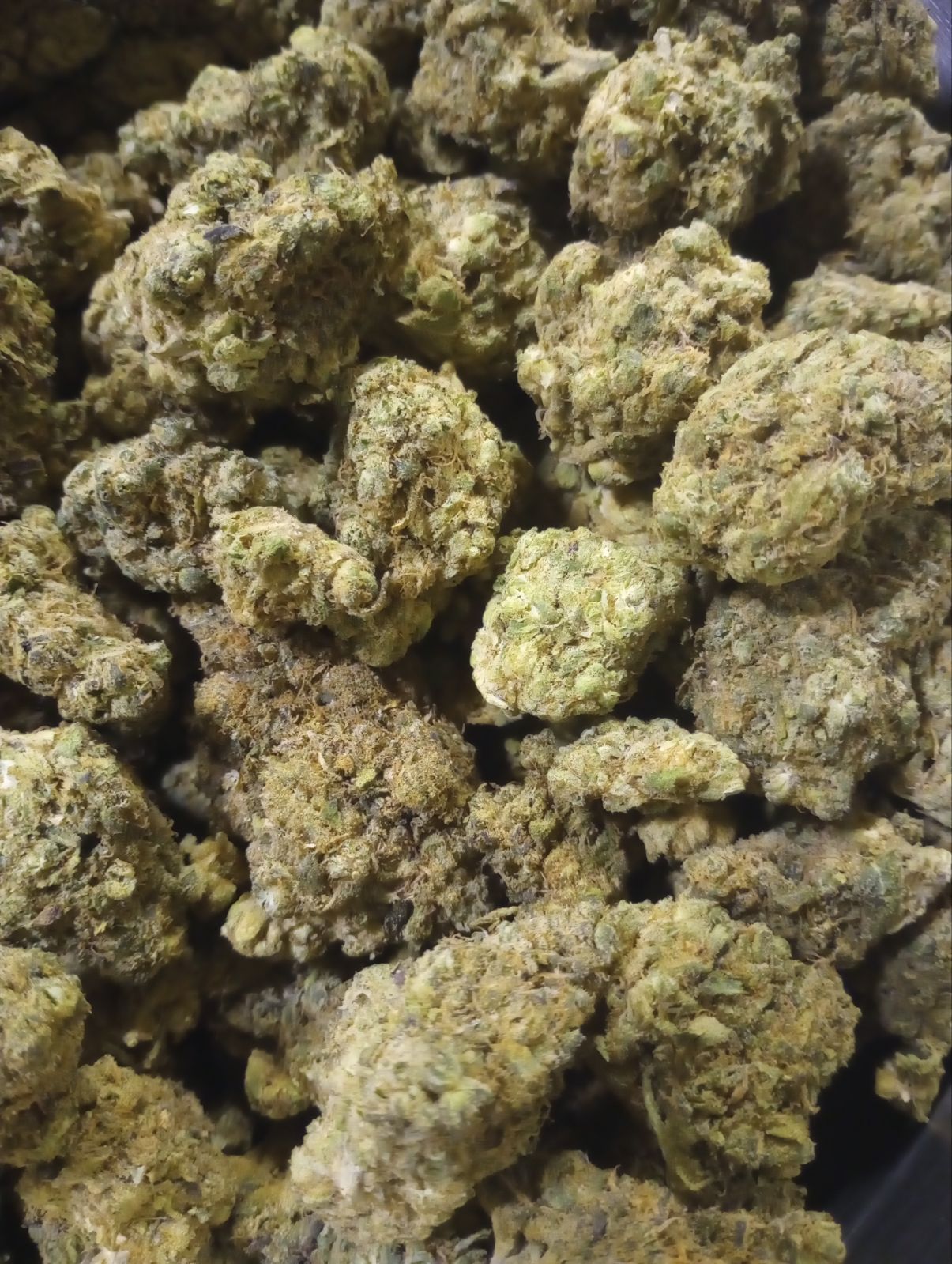 LEMON FRESH (GOLD TIER)