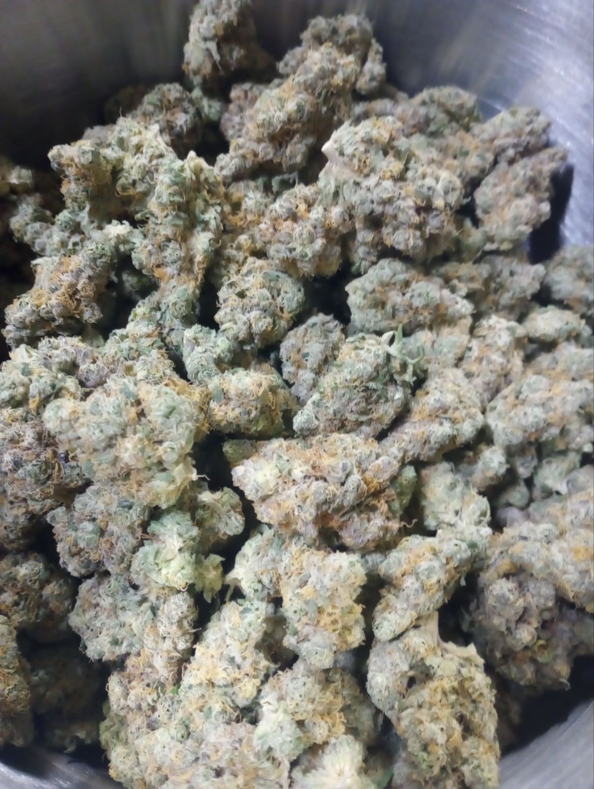 Berry Kush (Platinum Tier)
