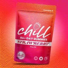CBD STRAWBERRY ALL-DAY-GUMMY (20-PACK)