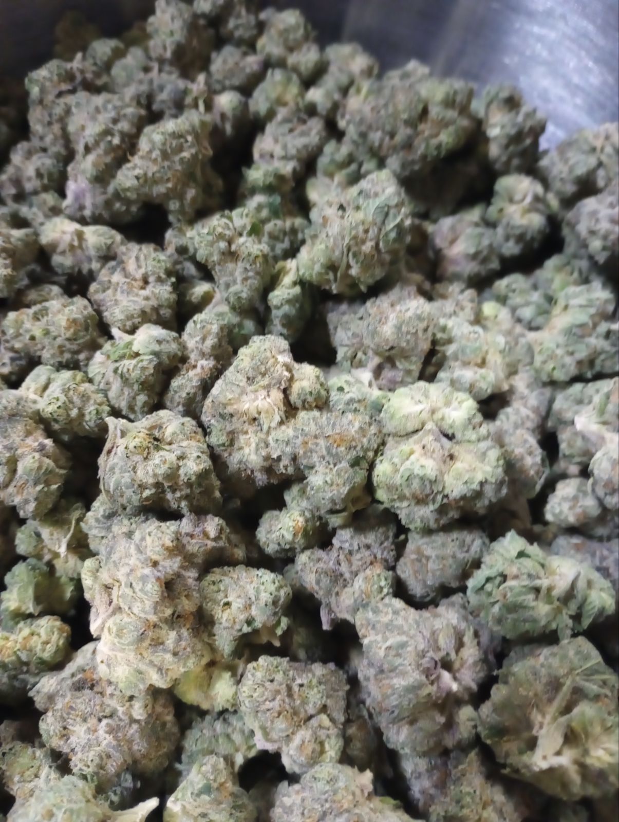 CONFIDENTIAL RUNTZ (GOLD TIER)