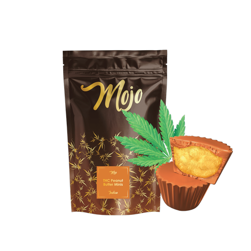 CHOCOLATE PEANUT BUTTER MINIS (10-PACK)