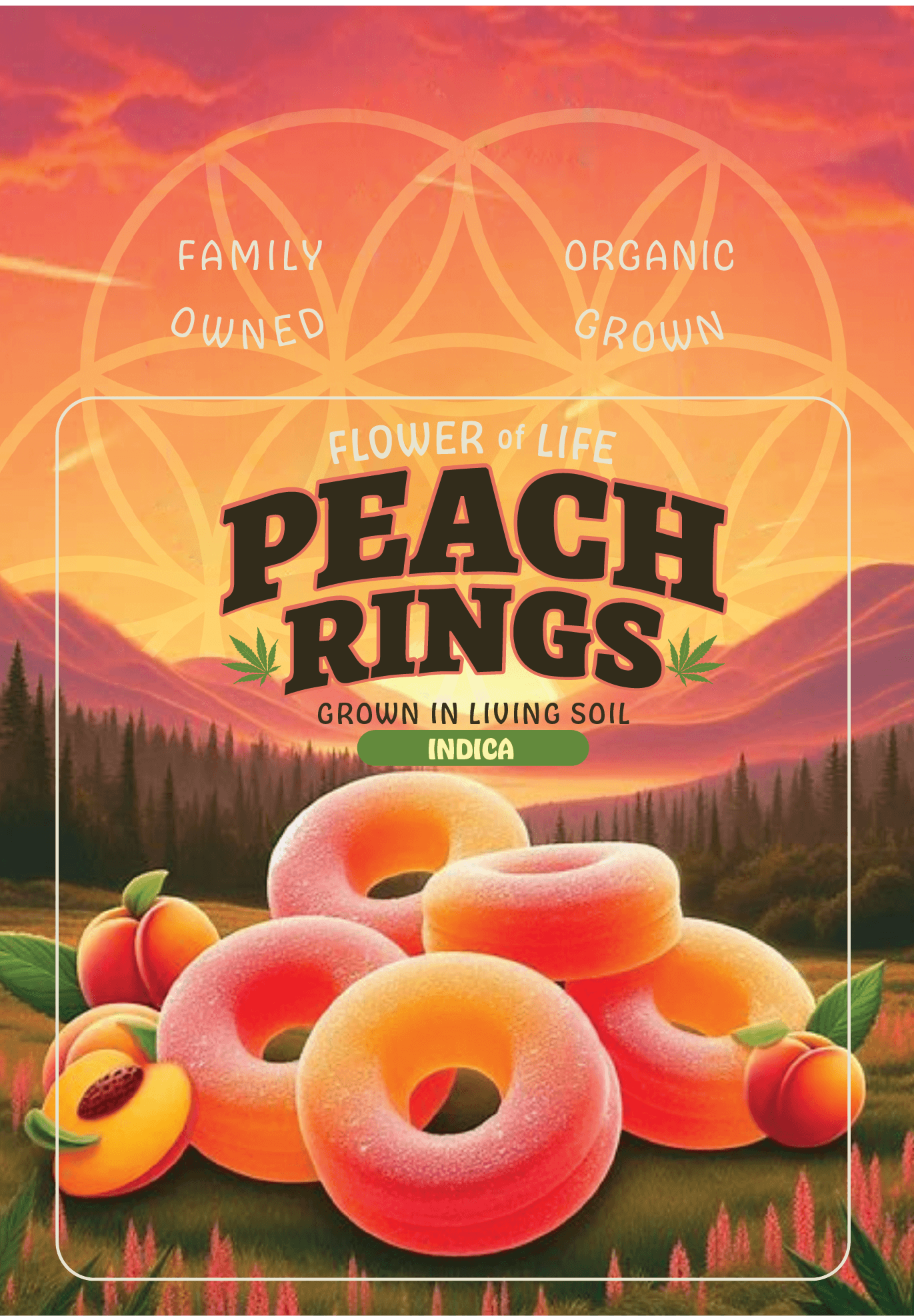 PEACH RINGS (SILVER TIER)
