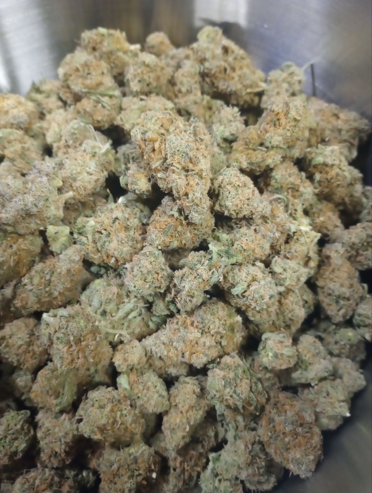 Honey Pot (Gold Tier)