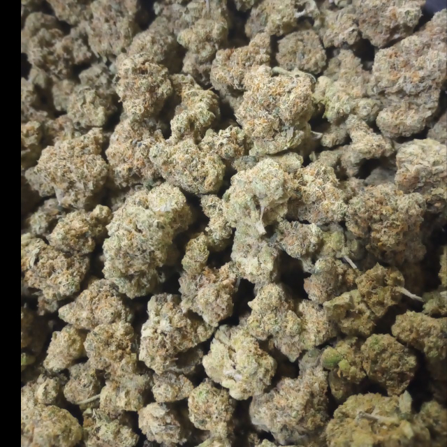 LSD (GOLD TIER)