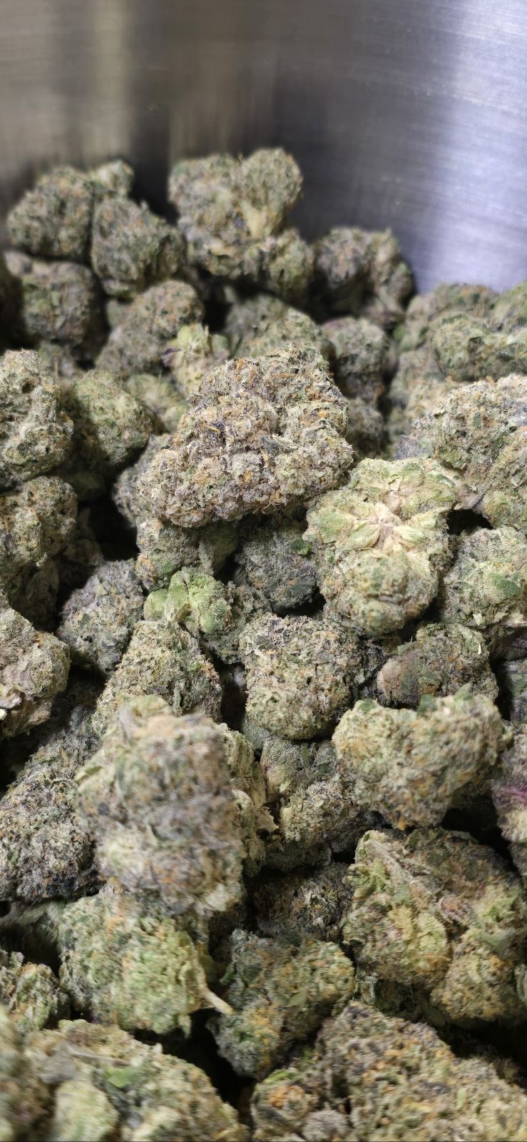 PURPLE MILK (PLATINUM TIER)