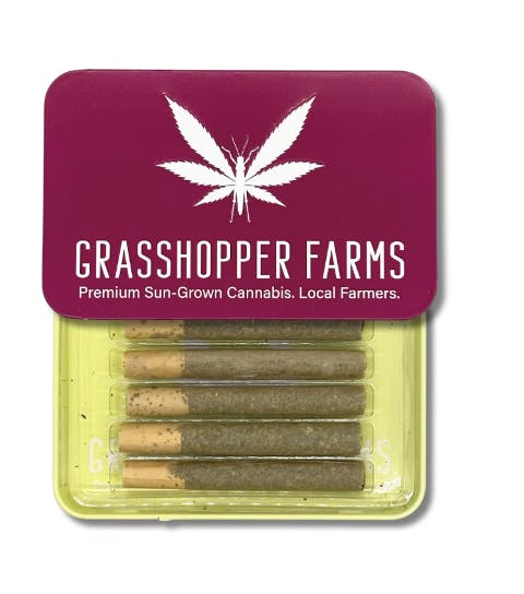GRASSHOPPER GRAPE (5-PACK)