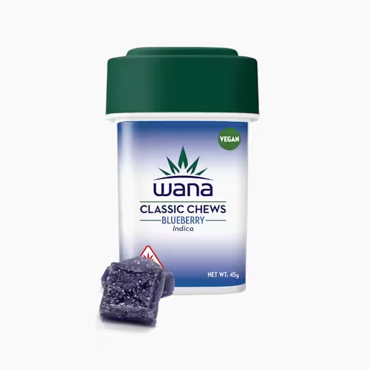Blueberry Gummy (10-Pack)