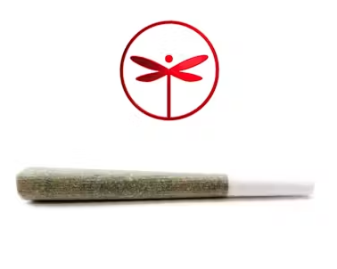 SHAMROCK