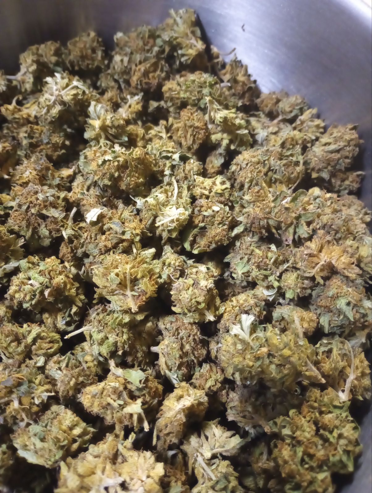 APPLE PIE (SUN GROWN)