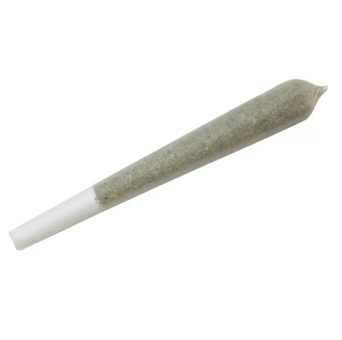 GG4