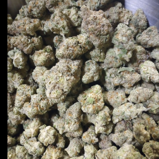 PAPAYA BOMB (PLATINUM TIER)