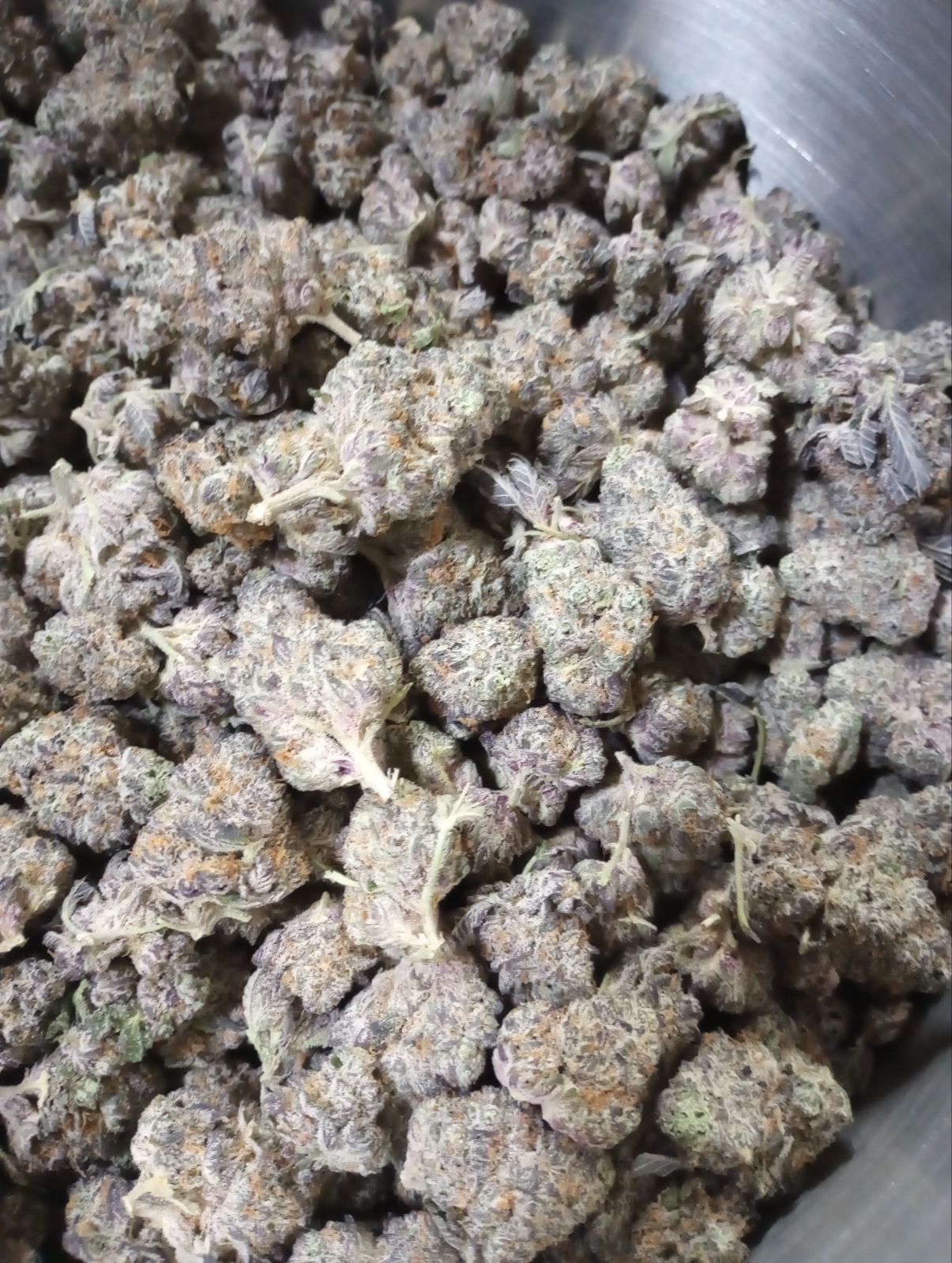 FIRST CLASS FUNK (GOLD TIER)