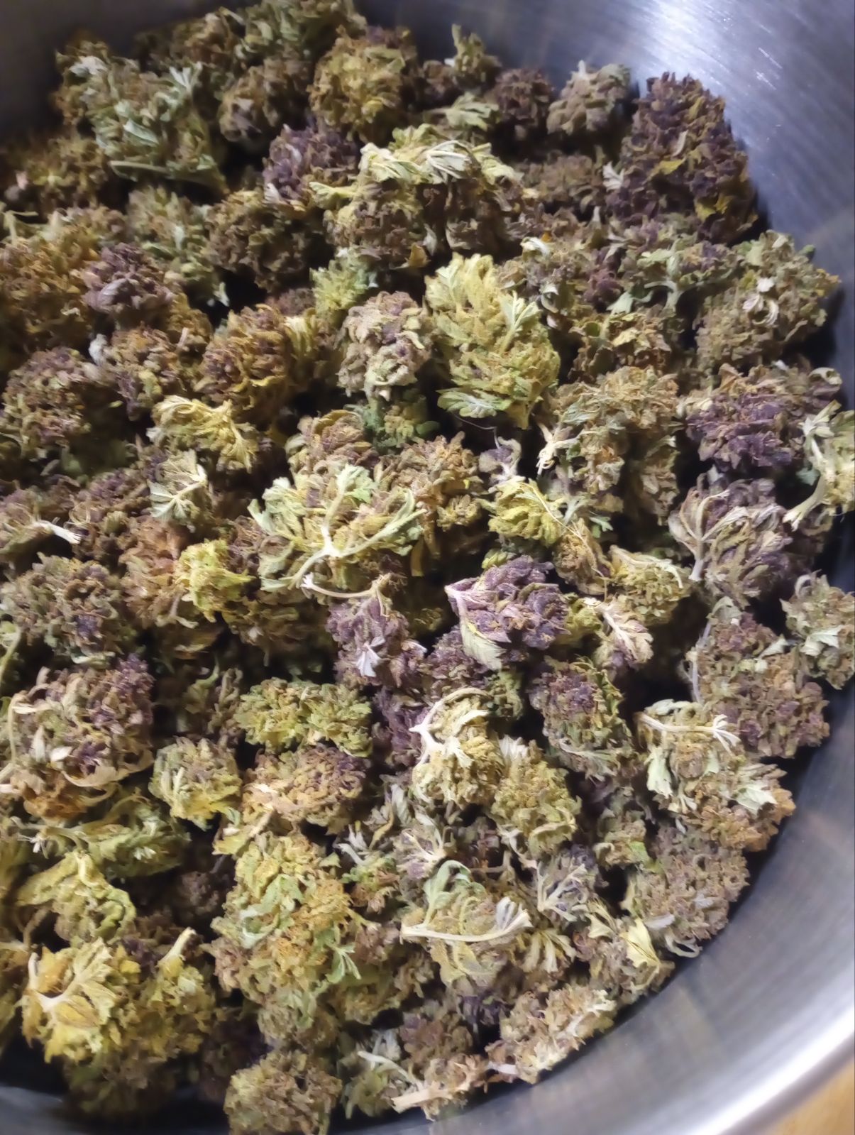 SQUIRT (SUN GROWN)