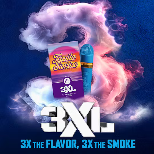 3XL TEQUILA SUNRISE 1G