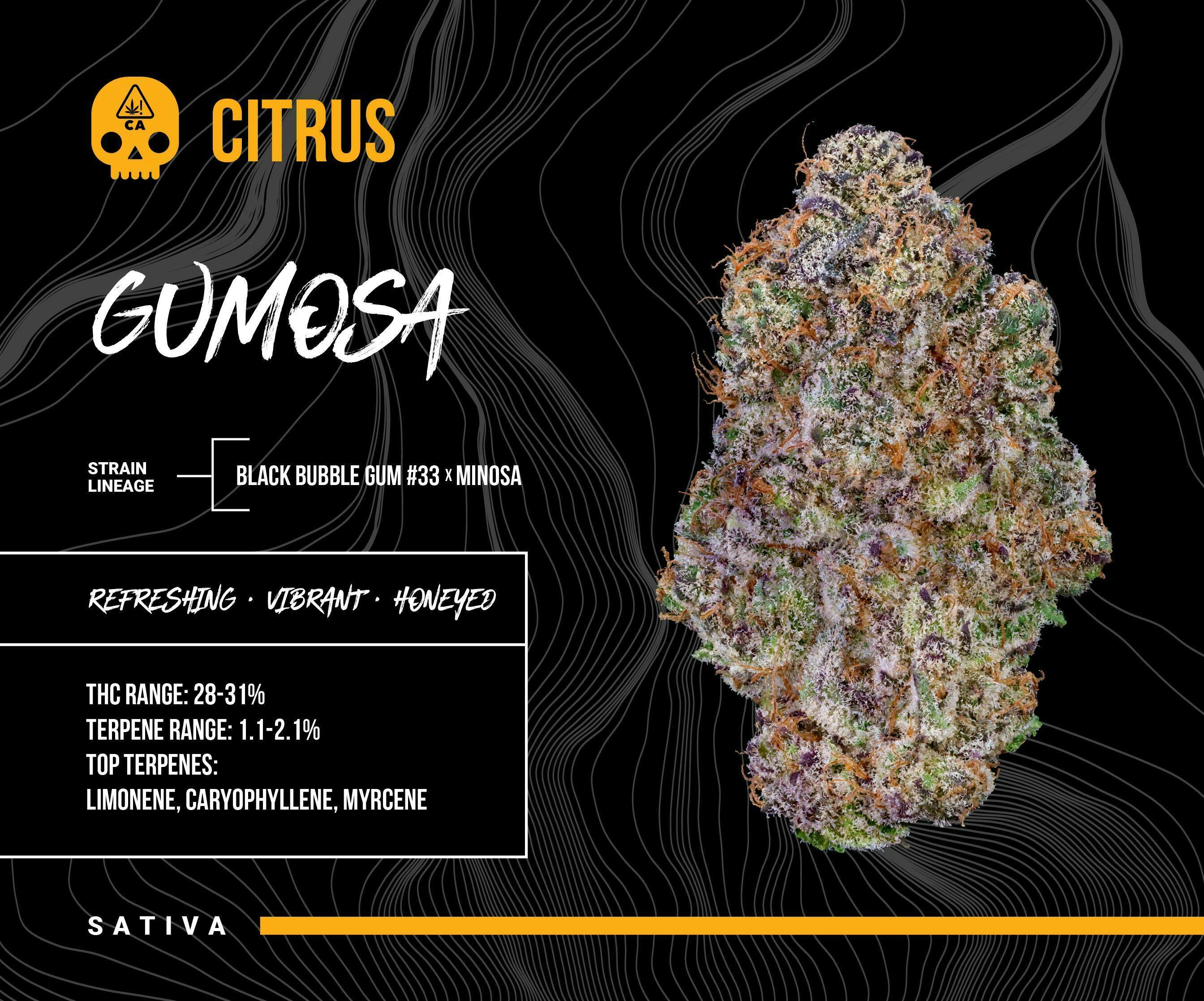 Gumosa 3.5g - 3.5 g