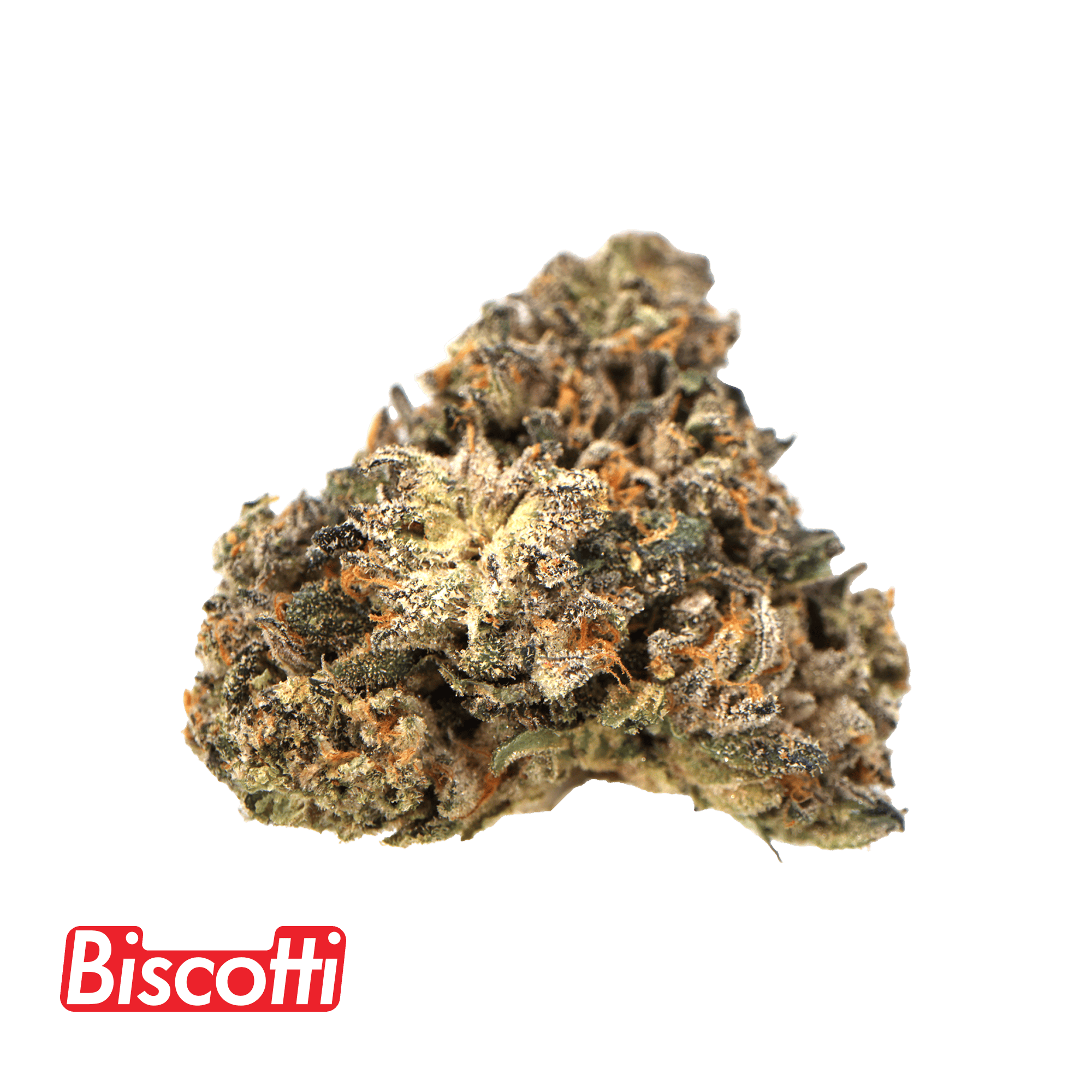 BISCOTTI 3.5G - 3.5 g