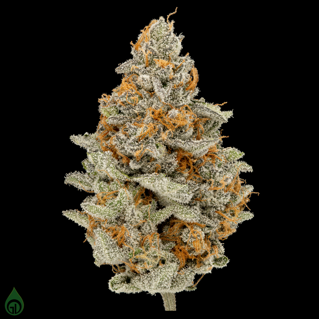 Cannabis Flower Brighton CO