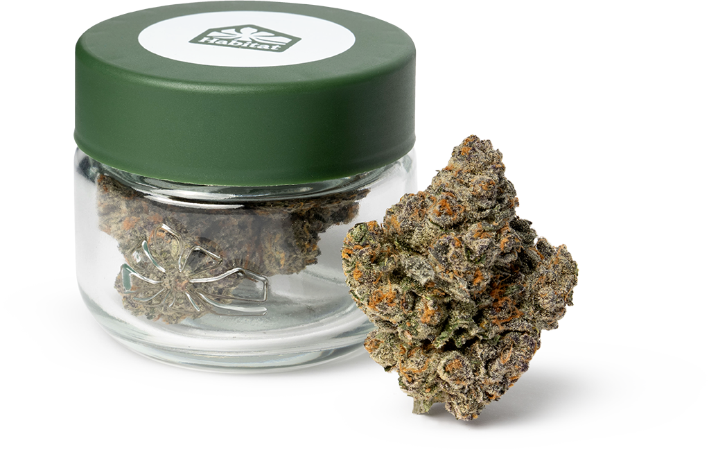 HABITAT: SUPERARE 3.5G