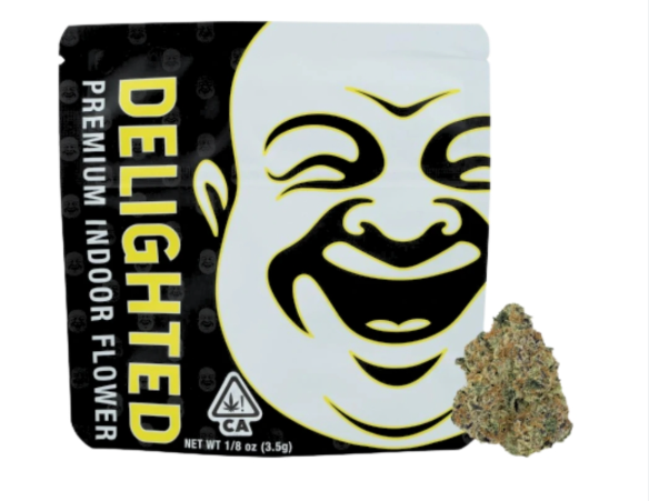 Delights: Delighted - Zuava