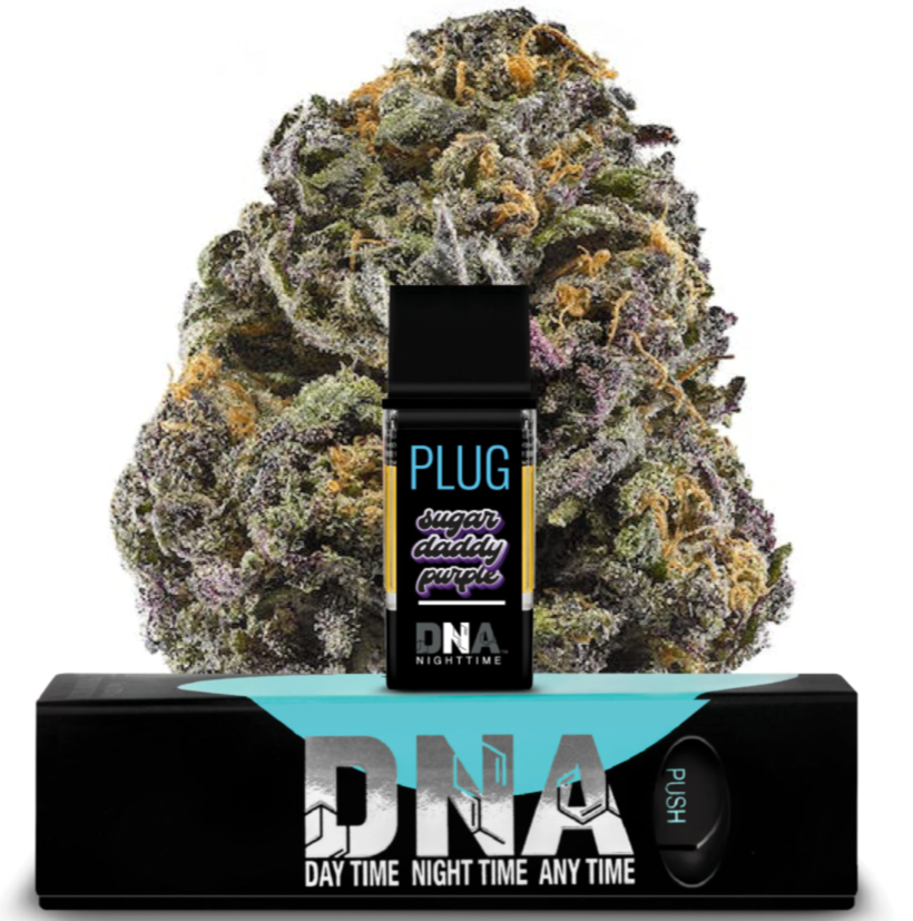 PlugPlay: Plugplay Dna - Daddy Purple