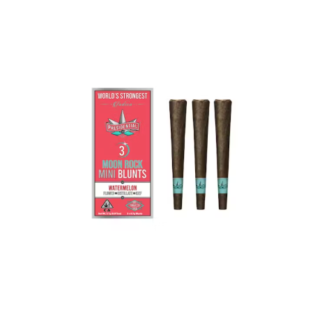 Presidential RX: X 3 Mini Blunt - Watermelon