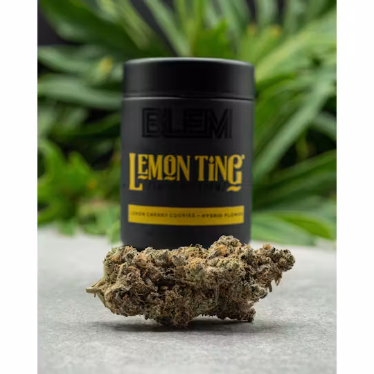 BLEM: Lemon Ting