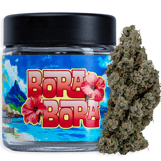 SEED JUNKY — Bora