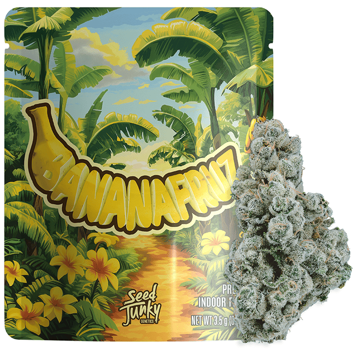 SEED JUNKY — Banana Fruz