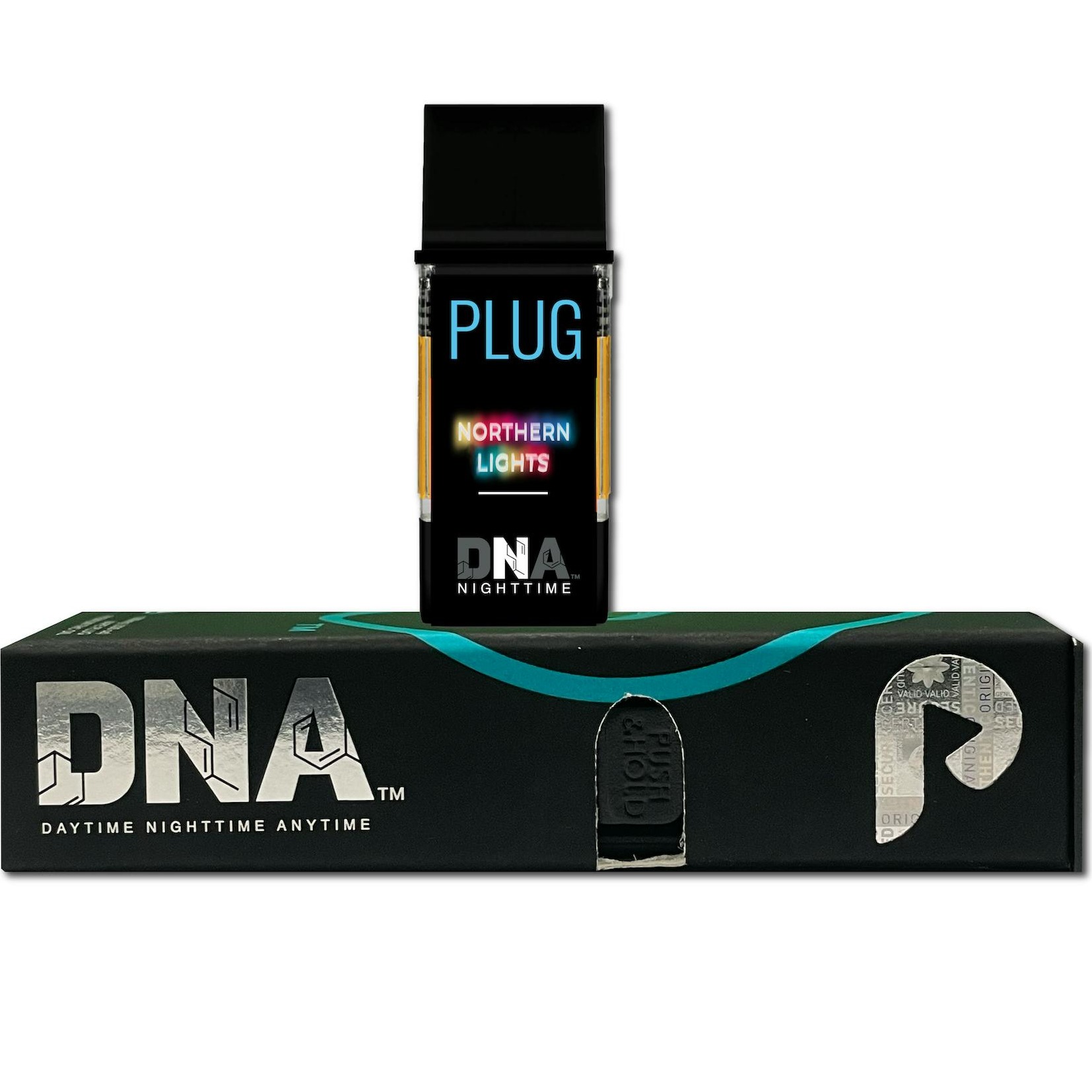 PlugPlay: Northern Lights