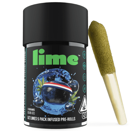 Lime: Blueberry Headband