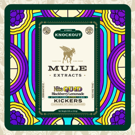 Blackberry Lemonade | 2pk | THC:CBD:CBN:CBG 2:1:4:1 | Gummies | 100mg