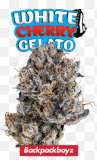 Backpack Boyz | White Cherry Gelato | 3.5g