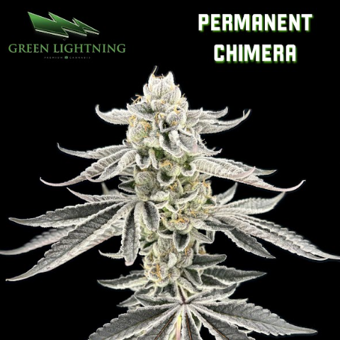 Permanent Chimera | Smalls | 7g