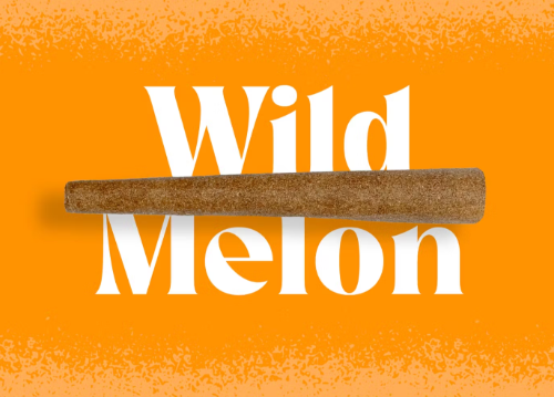 Doinks | Wild Melon | Terpene Infused Blunt | 1g