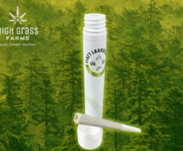 Jerzy Landscape | Pinelands Pure | Pre-Roll | 0.5g