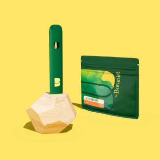 The Botanist | Clementine | Disposable | 1g