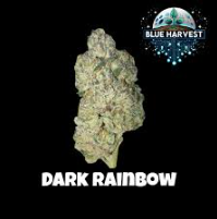 Blue Harvest | Dark Rainbow | 3.5g