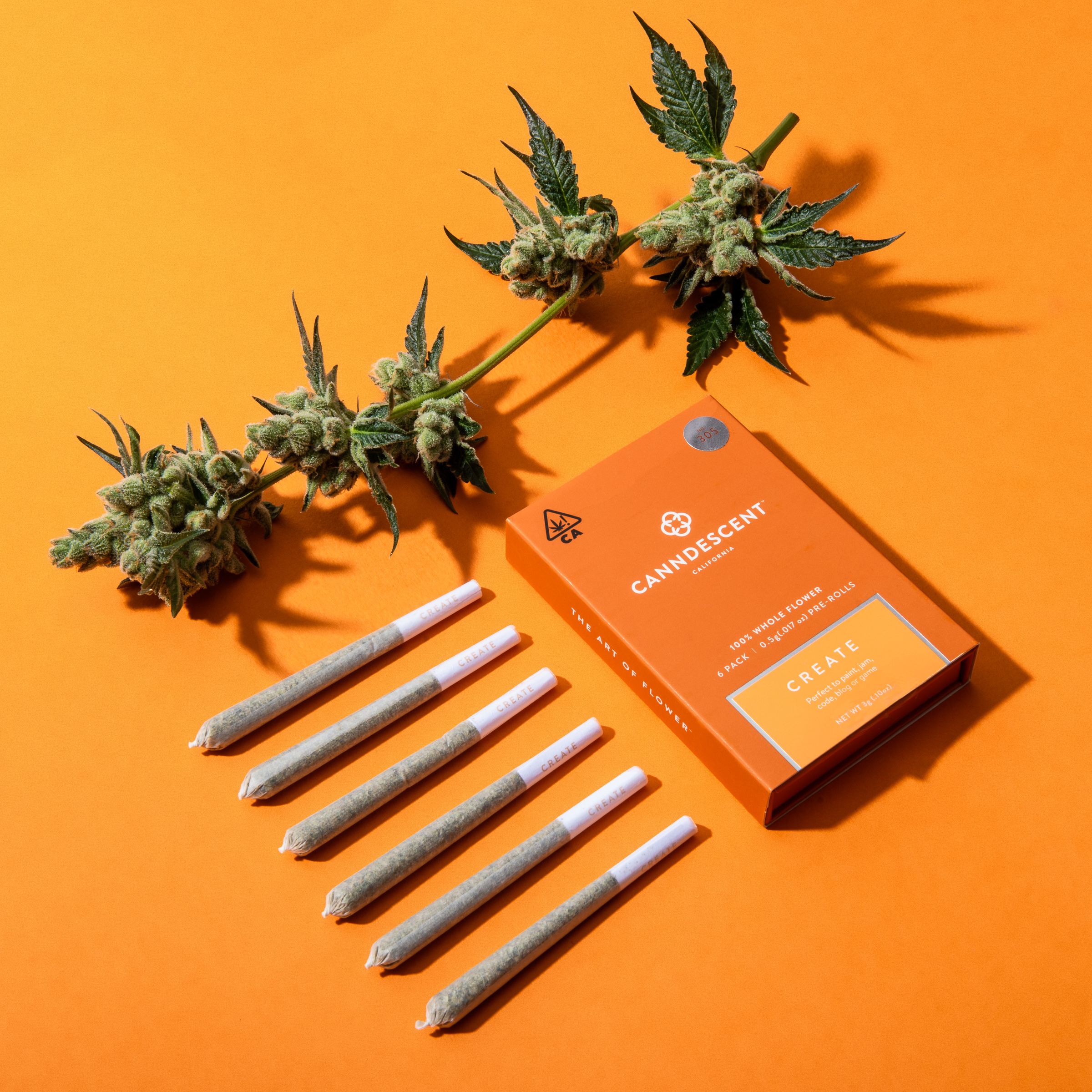 Canndescent: Create Mini By Canndescent