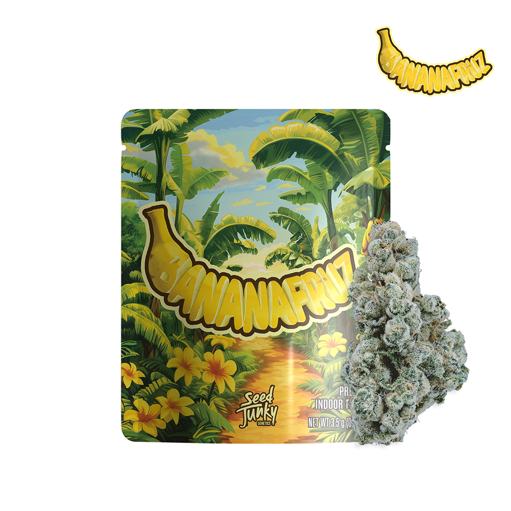 SEED JUNKY: Banana Fruz By Seed Junky