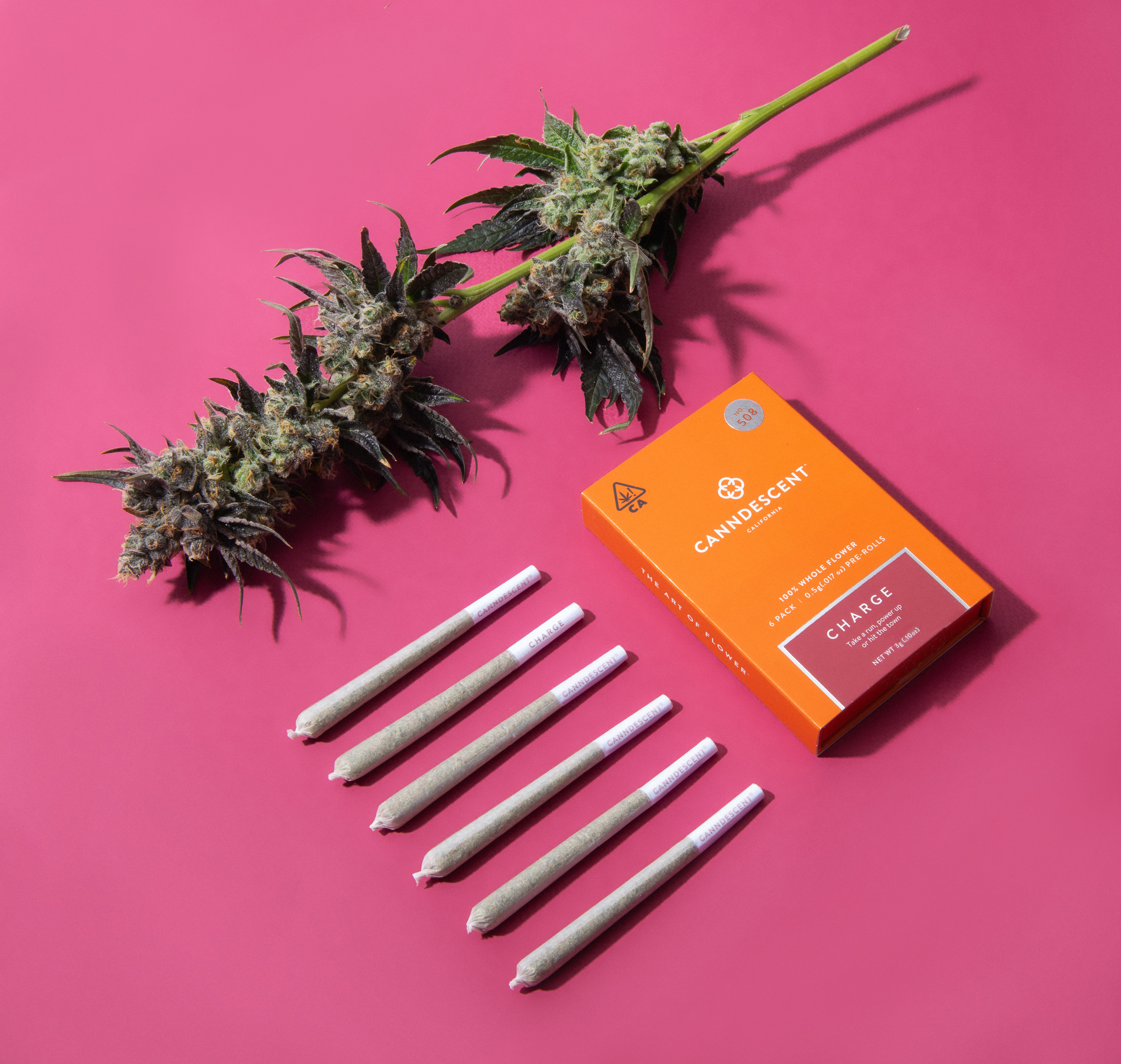 Canndescent — Charge Minis By Canndescent