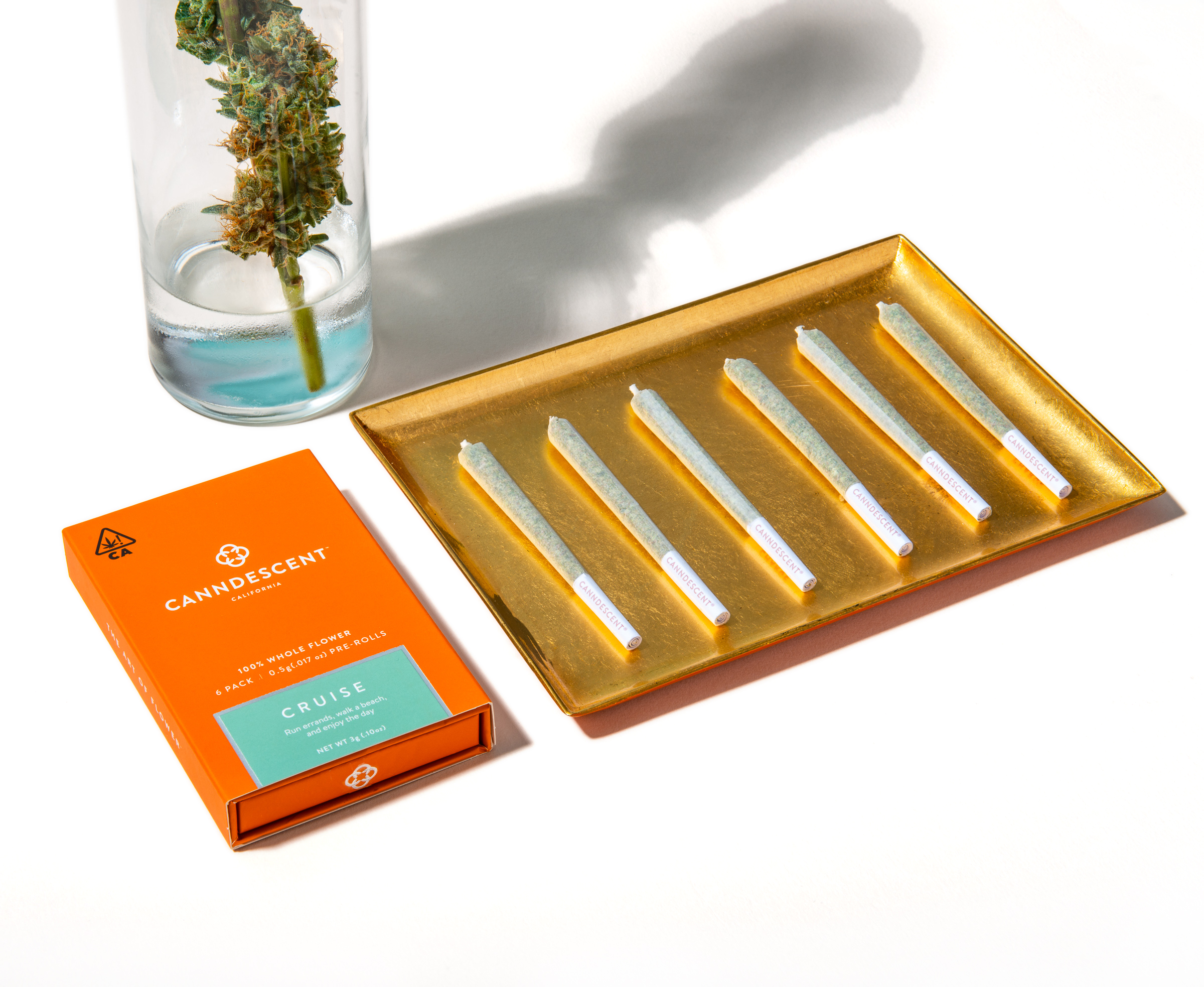 Canndescent: Cruise Mini By Canndescent