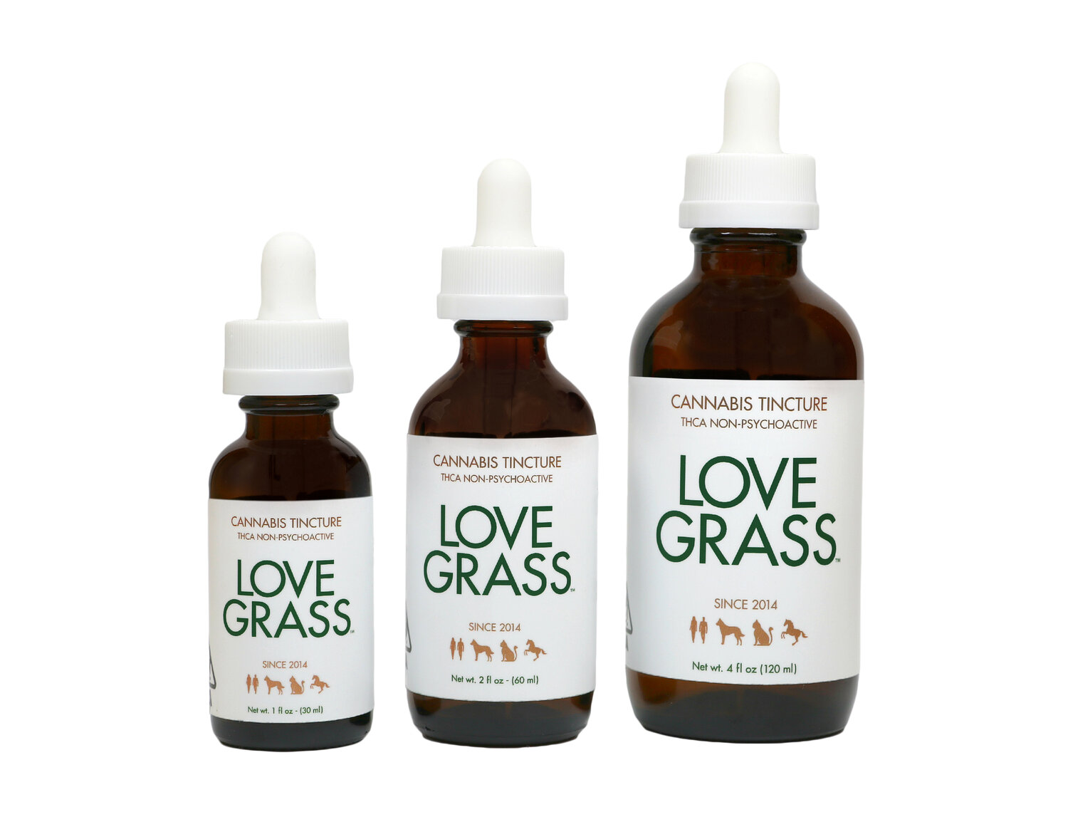 Love Grass: A By Love Grass